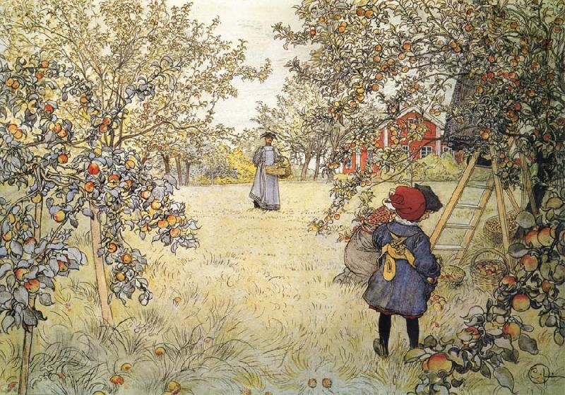 Carl Larsson Apple Harvest oil painting picture